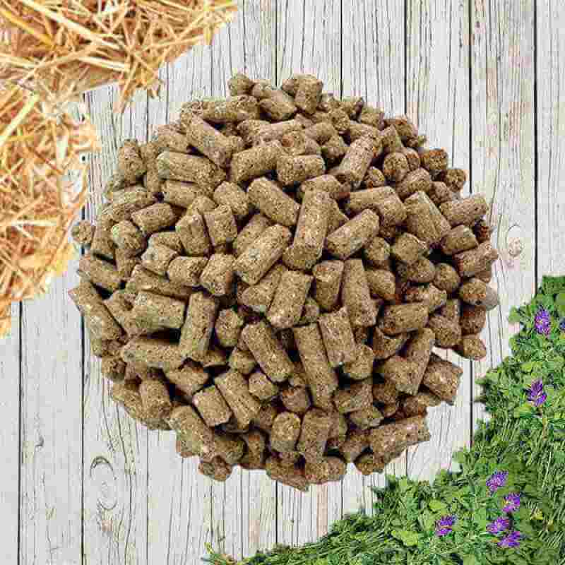 تصویر 3 از خرید خوراک کنسانتره گوسفندی + قیمت فروش استثنایی